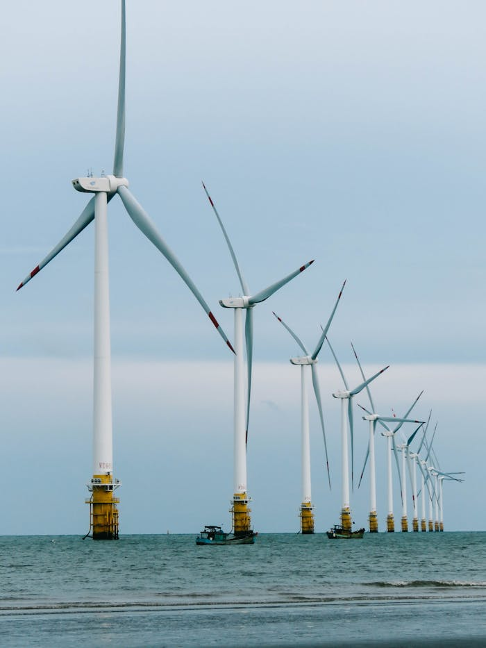 Rows of offshore wind turbines harnessing renewable energy in the ocean.